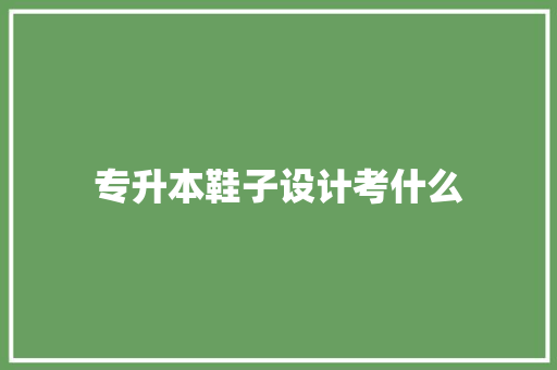 专升本鞋子设计考什么 管理论文