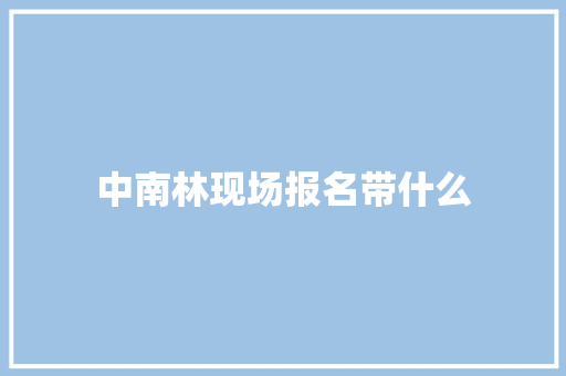 中南林现场报名带什么 计算机论文