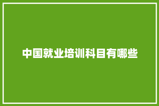 中国就业培训科目有哪些 社会论文