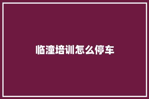 临潼培训怎么停车 社会论文