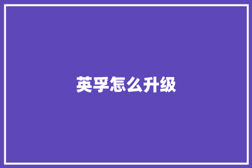 英孚怎么升级 简历