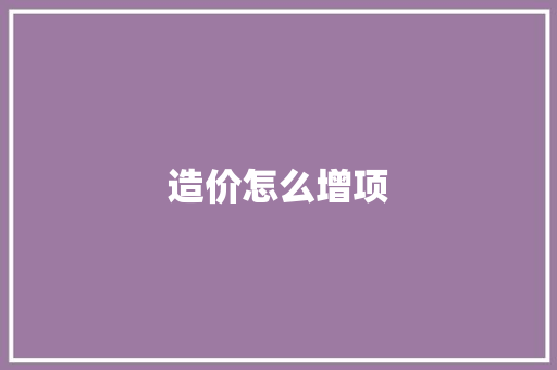 造价怎么增项 策划方案