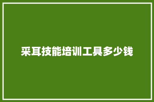 采耳技能培训工具多少钱 个人写作