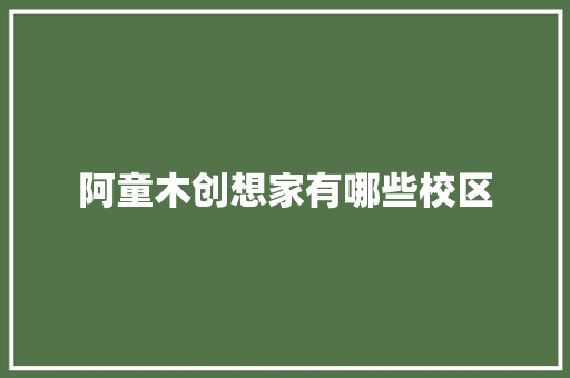 阿童木创想家有哪些校区 公证书