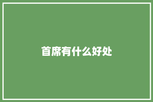 首席有什么好处 论文