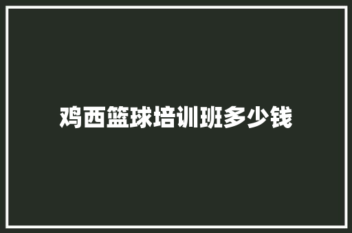 鸡西篮球培训班多少钱 社会论文