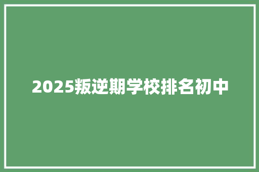 2025叛逆期学校排名初中 担保书