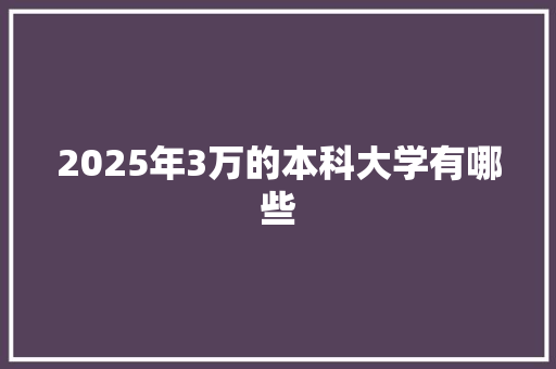2025年3万的本科大学有哪些 计算机论文