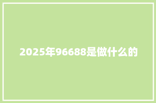 2025年96688是做什么的 英文简历