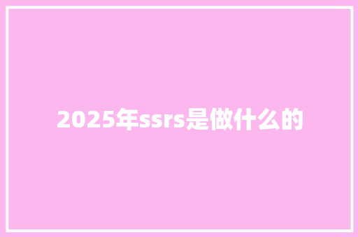 2025年ssrs是做什么的 计算机论文