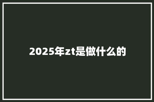 2025年zt是做什么的 管理论文