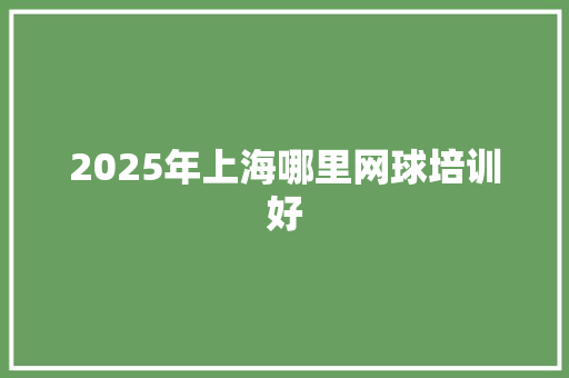 2025年上海哪里网球培训好 论文