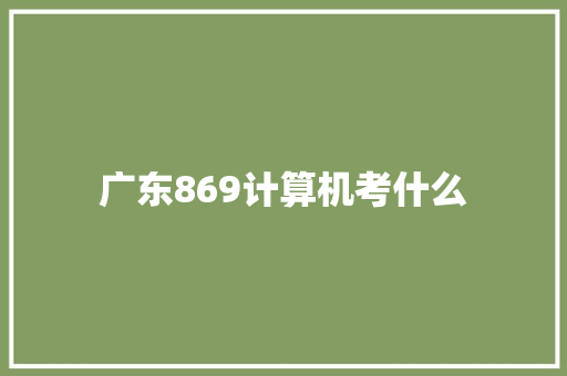 广东869计算机考什么 策划方案