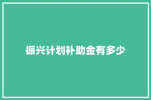 振兴计划补助金有多少 论文