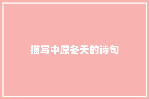 描写中原冬天的诗句 计算机论文