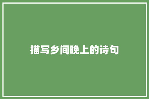 描写乡间晚上的诗句 策划方案