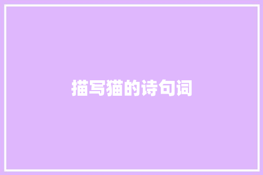 描写猫的诗句词 论文