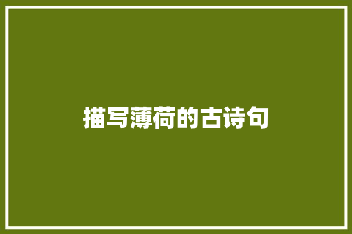 描写薄荷的古诗句 管理论文