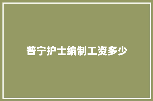 普宁护士编制工资多少 办公写作