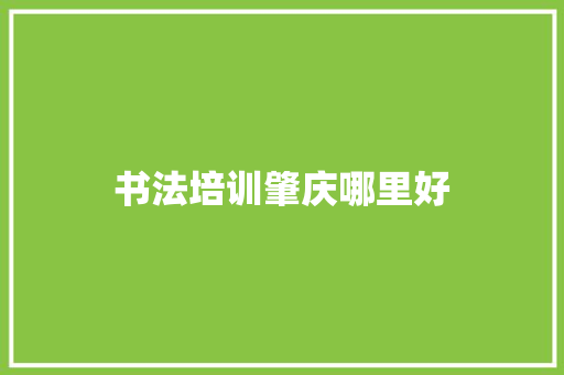 书法培训肇庆哪里好 英文简历