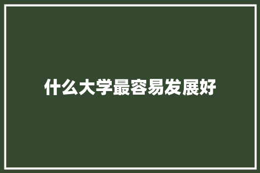 什么大学最容易发展好 管理论文
