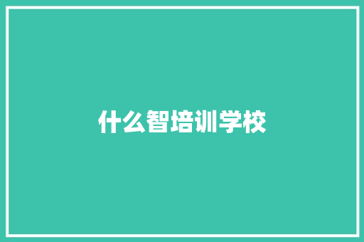 什么智培训学校 计算机论文