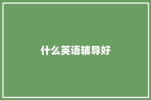 什么英语辅导好 文秘写作