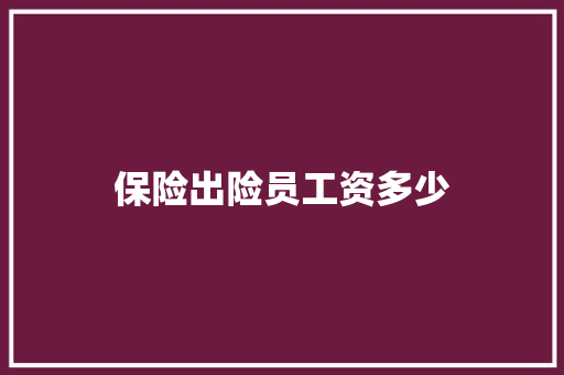 保险出险员工资多少 毕业设计