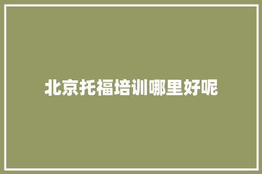 北京托福培训哪里好呢 办公写作