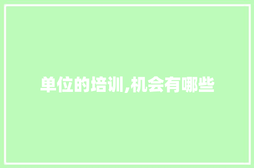单位的培训,机会有哪些 个人写作