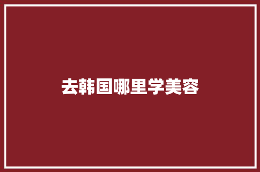 去韩国哪里学美容 管理论文