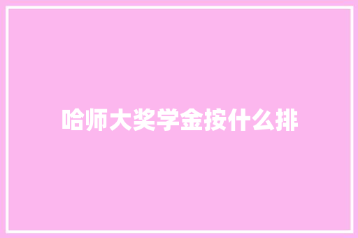 哈师大奖学金按什么排 计算机论文