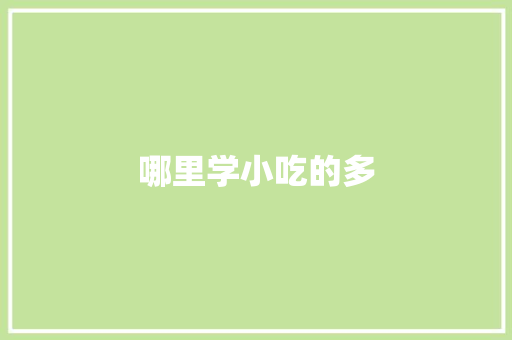 哪里学小吃的多 个人简历