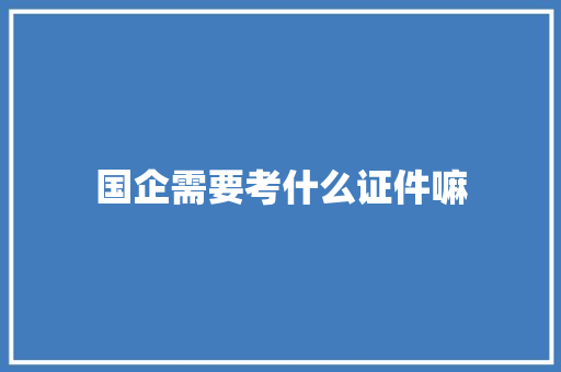 国企需要考什么证件嘛 承诺书