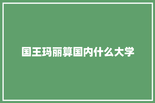 国王玛丽算国内什么大学 个人写作
