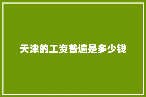 天津的工资普遍是多少钱 管理论文