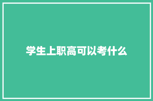 学生上职高可以考什么 毕业设计