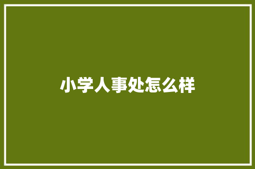 小学人事处怎么样 公证书