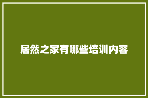 居然之家有哪些培训内容 承诺书