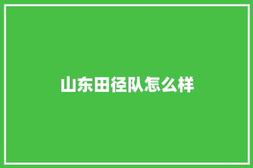 山东田径队怎么样 英文简历