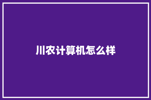 川农计算机怎么样 简历资料