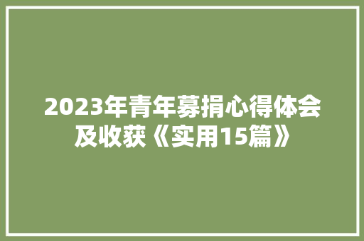 2023年青年募捐心得体会及收获《实用15篇》 承诺书
