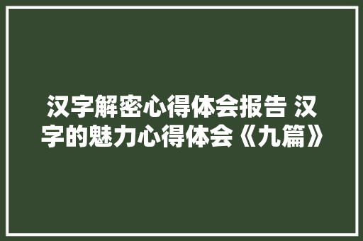 汉字解密心得体会报告 汉字的魅力心得体会《九篇》 教育论文