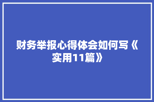 财务举报心得体会如何写《实用11篇》 承诺书