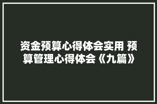 资金预算心得体会实用 预算管理心得体会《九篇》 管理论文