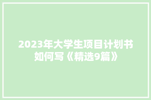 2023年大学生项目计划书如何写《精选9篇》 英文简历