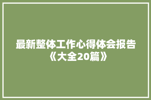 最新整体工作心得体会报告《大全20篇》 承诺书