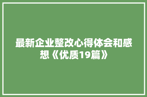 最新企业整改心得体会和感想《优质19篇》 个人写作