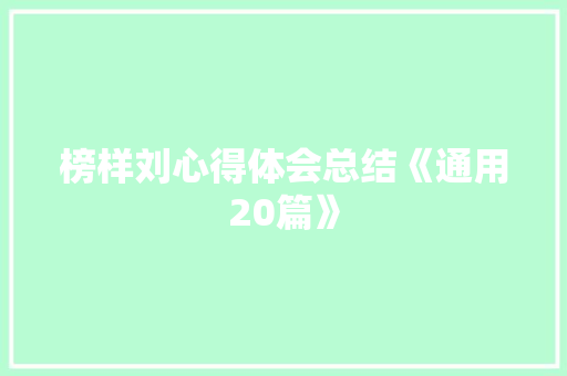 榜样刘心得体会总结《通用20篇》 计算机论文