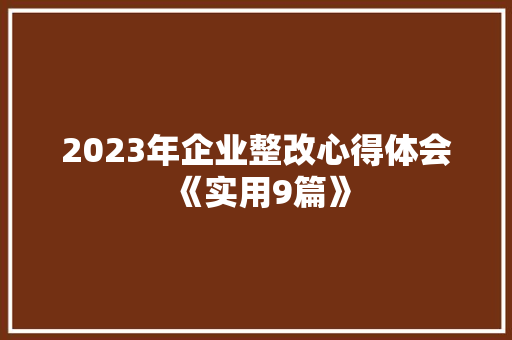 2023年企业整改心得体会《实用9篇》 担保书